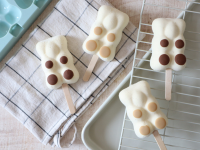 Recette glaces esquimaux chocolat et vanille